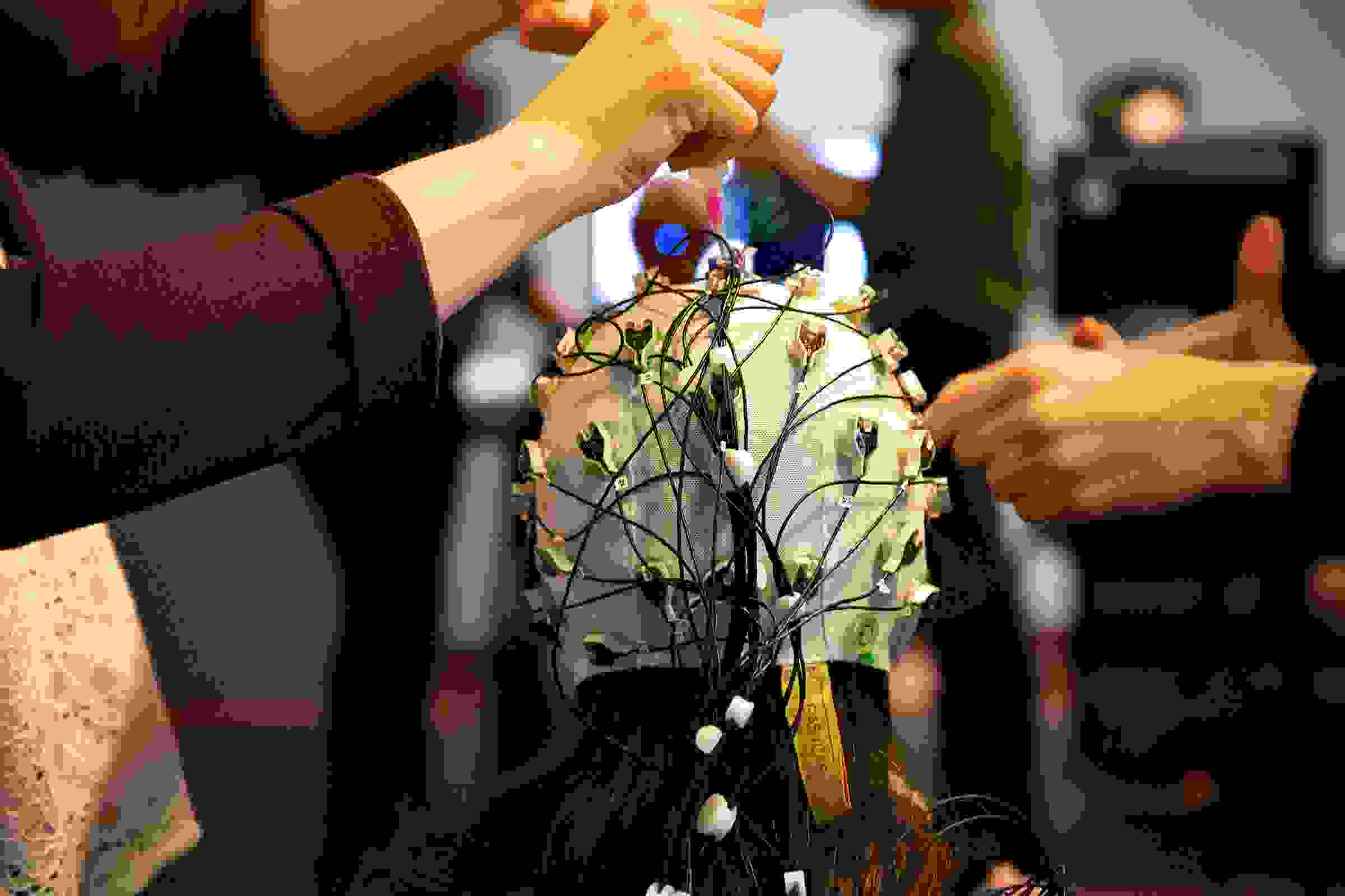 Opéra de Montréal monitors Carmen-related brain activity