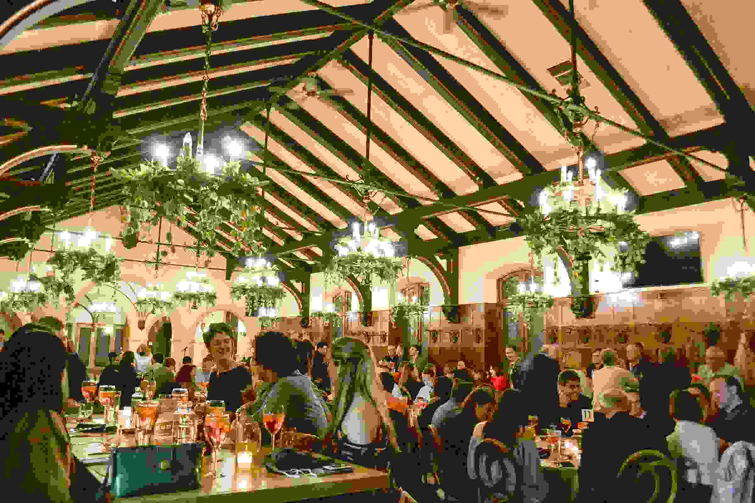 An Opera Tastings event hosted by Opera Theatre of Saint Louis