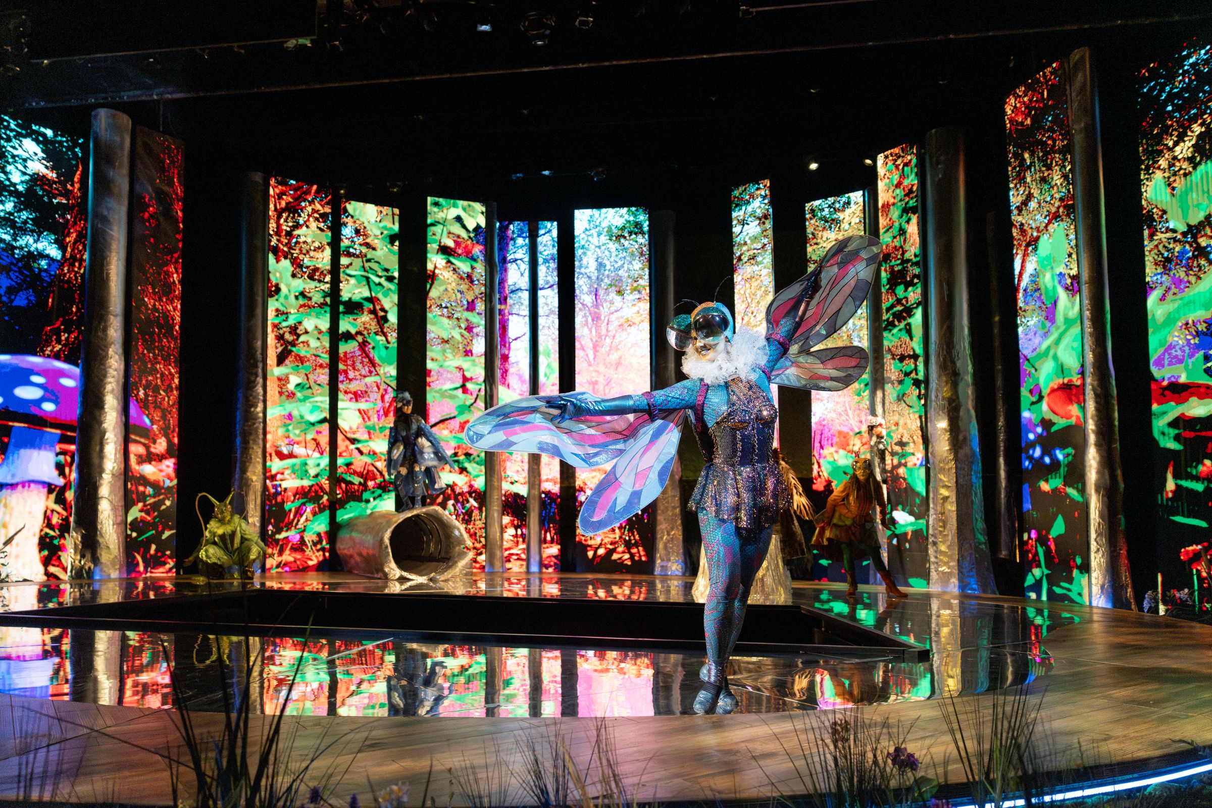 Vita Tzykun’s costume design for the Dragonfly in The Cunning Little Vixen, as seen onstage this summer at Des Moines Metro Opera (photo: Cory Weaver)